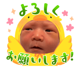 575153859