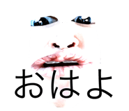 575158855