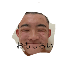 575159304