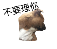 575206866