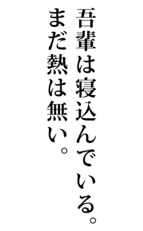 575228069