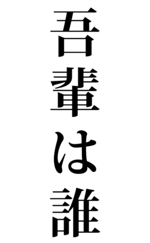 575228091