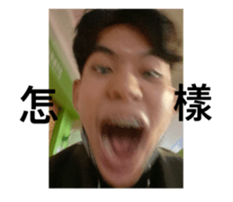 575230290