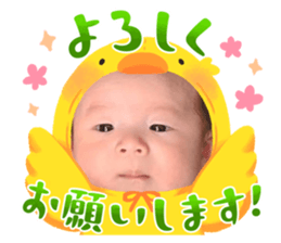 575231213