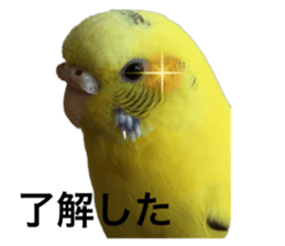 575256394