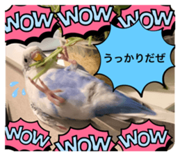 575256396