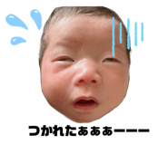 575266657