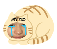 575275612