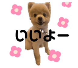 575301596