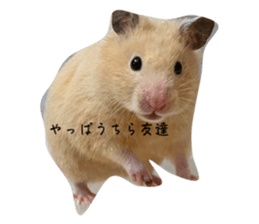 575313308