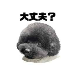 575315553