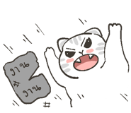 575331116