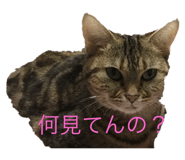 575331542