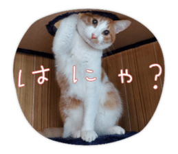 575336255