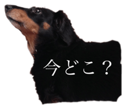 575336874