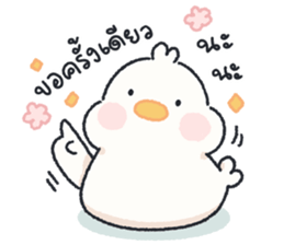 ลายที่ 13