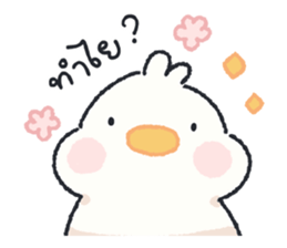 ลายที่ 29