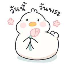 ลายที่ 45