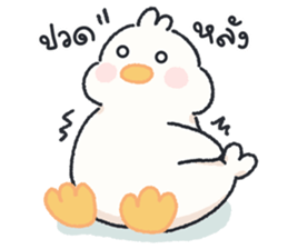 ลายที่ 47