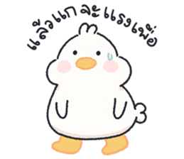 ลายที่ 51