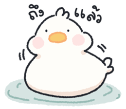 ลายที่ 63