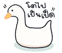 ลายที่ 71