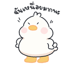 ลายที่ 77