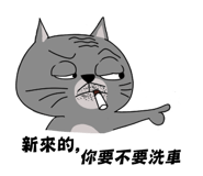 57545006