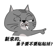 57545009