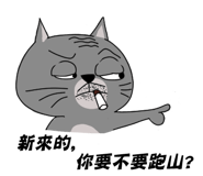 57545010