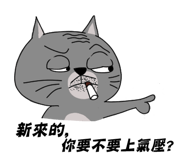 57545011