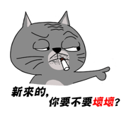 57545012