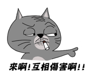 57545013