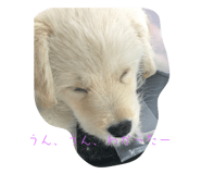 575535207