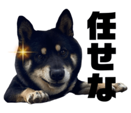 575539798