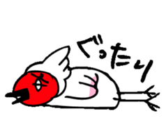5755433