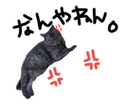 575576480