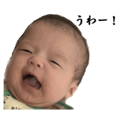 575607013