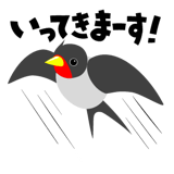 575626481
