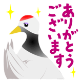 575626484
