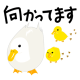 575626488