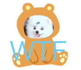 57565527