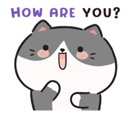 575683703