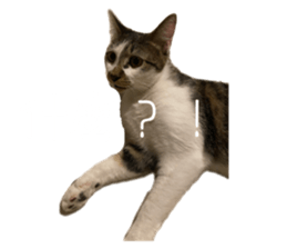 575689575