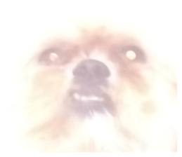 575697243