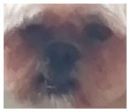 575697248