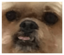 575697250
