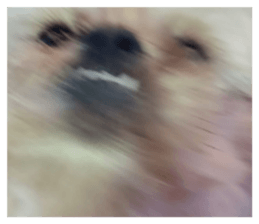 575697255