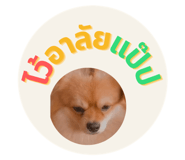 575734484