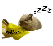575738668